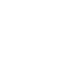 30fps Seq. Shooting (Electronic)